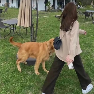 大奥